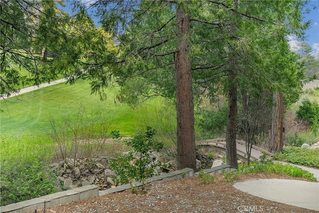 109 S Fairway Dr, Lake Arrowhead, CA 92352 - photo 1