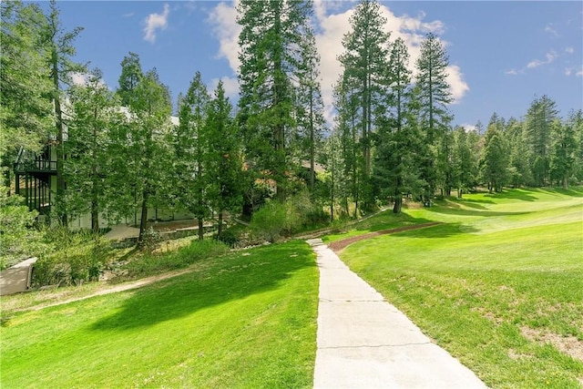 109 S Fairway Dr, Lake Arrowhead, CA 92352 - view of home's community with a lawn and view of scattered trees