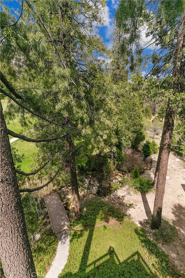 109 S Fairway Dr, Lake Arrowhead, CA 92352 - view of nature