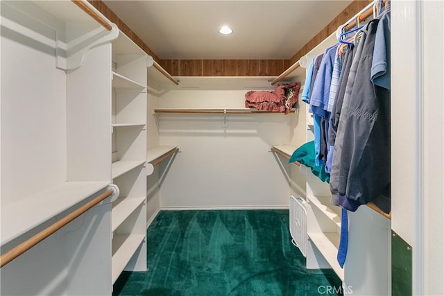 109 S Fairway Dr, Lake Arrowhead, CA 92352 - walk in closet featuring carpet floors