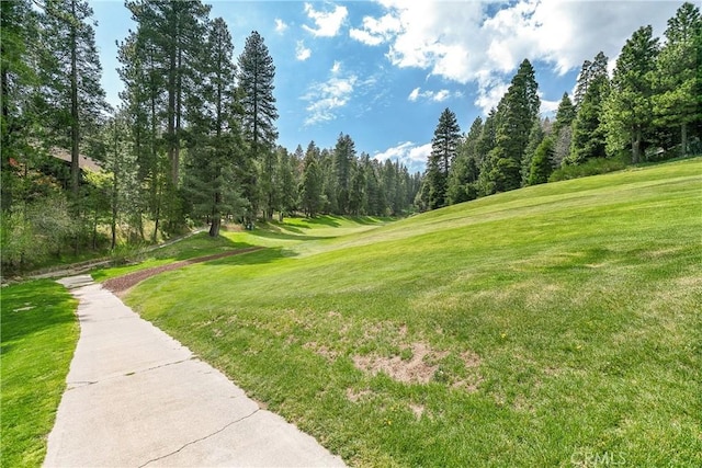 109 S Fairway Dr, Lake Arrowhead, CA 92352 - view of home's community with view of golf course, a yard, and view of scattered trees