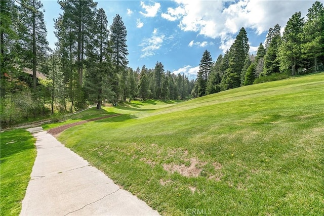 109 S Fairway Dr, Lake Arrowhead, CA 92352 - photo 59