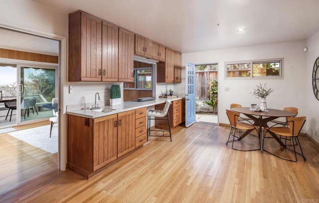 kitchen featuring light countertops, a sink, light wood finished floors, and healthy amount of natural light
