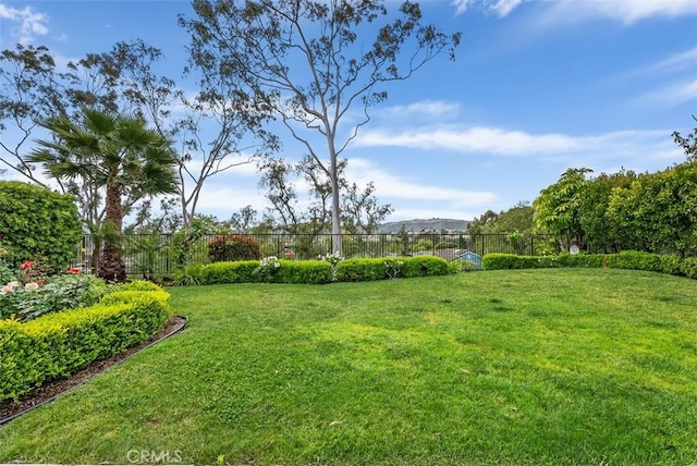 19 Rollins Pl, Laguna Niguel, CA 92677 - view of yard