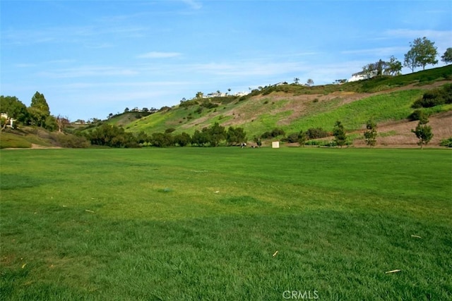 19 Rollins Pl, Laguna Niguel, CA 92677 - view of grassy yard