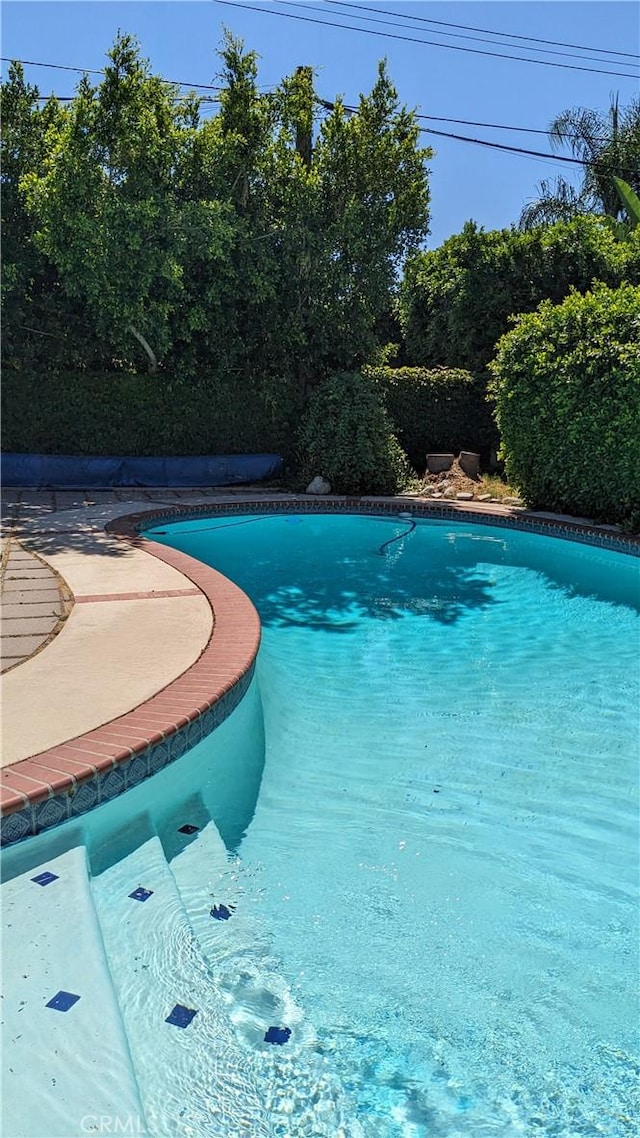 527 S Orchard Dr, Burbank, CA 91506 - view of outdoor pool