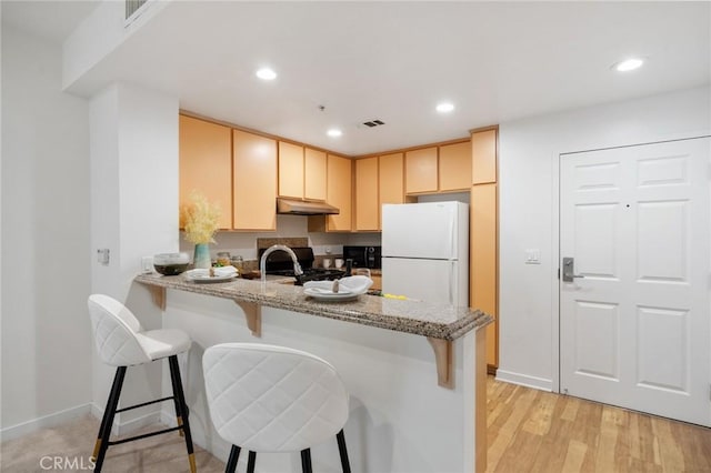 160 S Hudson Ave Unit 202, Pasadena, CA 91101 - kitchen featuring freestanding refrigerator, under cabinet range hood, a peninsula, gas stove, and light stone counters