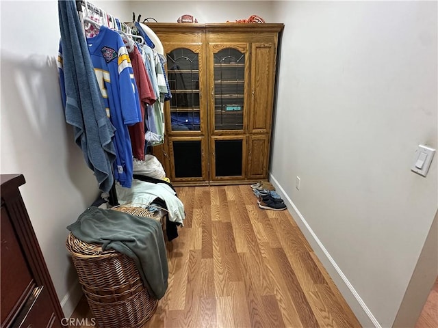 spacious closet featuring wood finished floors