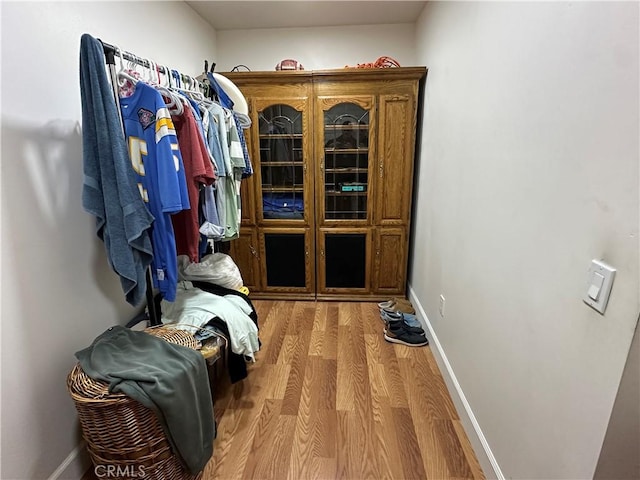 walk in closet with wood finished floors