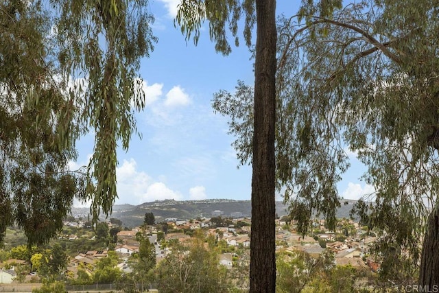 view of mountain background