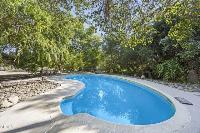 swimming pool with view of wooded area
