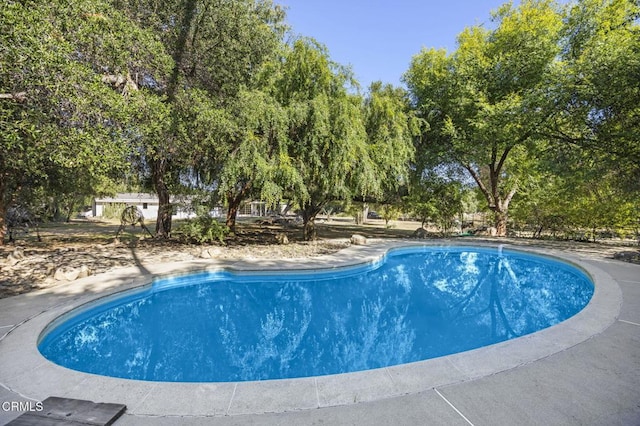 outdoor pool with view of wooded area