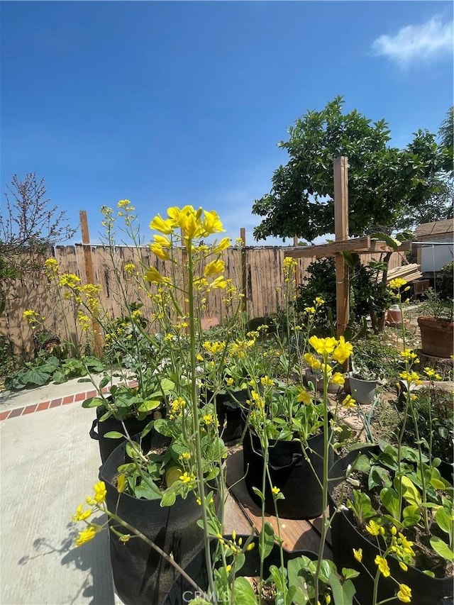 exterior view of fence