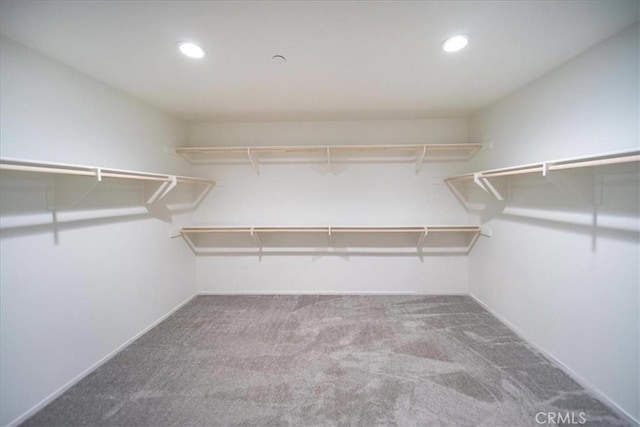 3409 Spring Wheat St, Perris, CA 92570 - walk in closet featuring carpet flooring