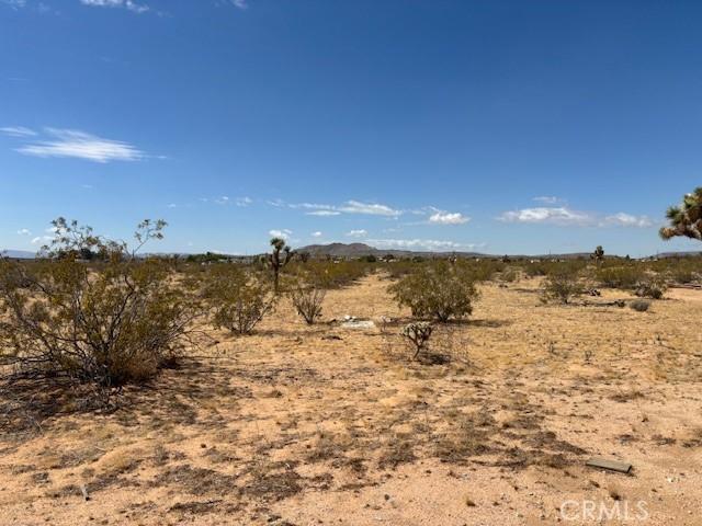 1 Mitch Rd, Landers, CA 92284