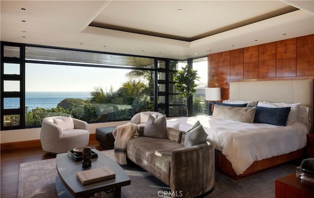 2526 Riviera Dr, Laguna Beach, CA 92651 - bedroom featuring wood finished floors, a tray ceiling, and expansive windows