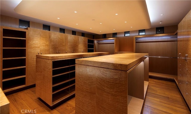 2526 Riviera Dr, Laguna Beach, CA 92651 - spacious closet with wood finished floors