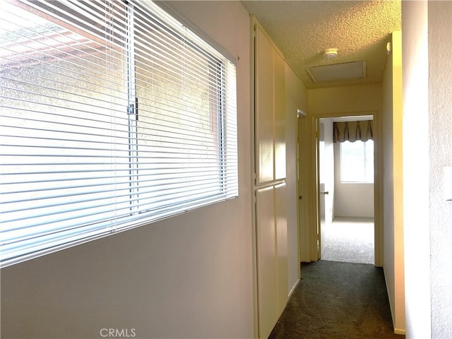 1740 Silver Maple Dr, La Habra, CA 90631 - hallway featuring carpet and attic access