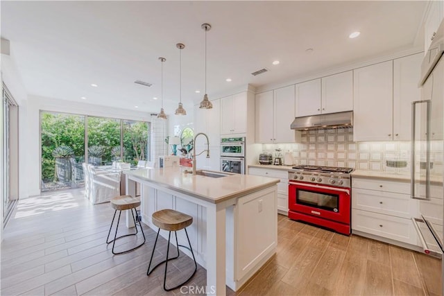 kitchen with premium appliances, under cabinet range hood, light wood-style floors, a sink, and recessed lighting