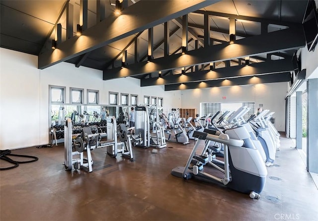204 Alienta Ln, Rancho Mission Viejo, CA 92694 - exercise room with high vaulted ceiling, plenty of natural light, and beamed ceiling