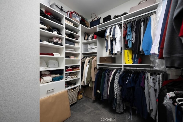 204 Alienta Ln, Rancho Mission Viejo, CA 92694 - spacious closet featuring carpet floors