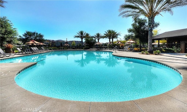 204 Alienta Ln, Rancho Mission Viejo, CA 92694 - community pool with a patio area