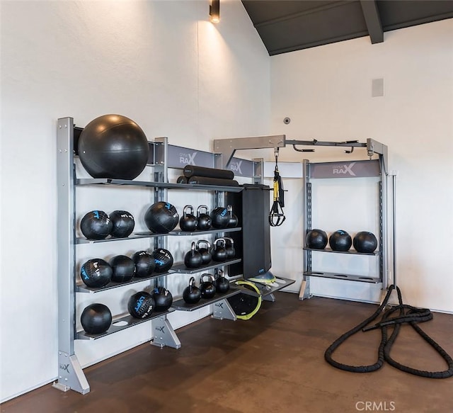 204 Alienta Ln, Rancho Mission Viejo, CA 92694 - exercise area with lofted ceiling