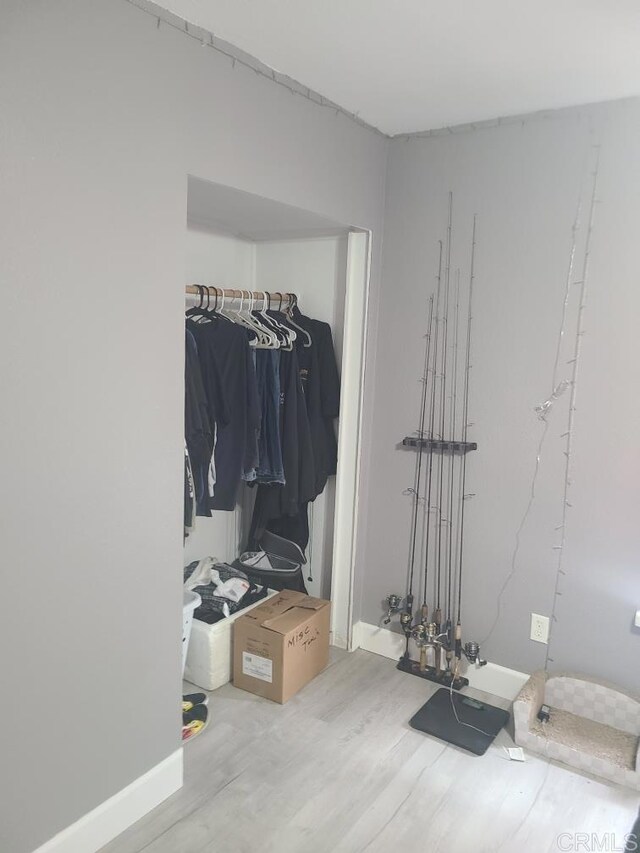 walk in closet featuring wood finished floors
