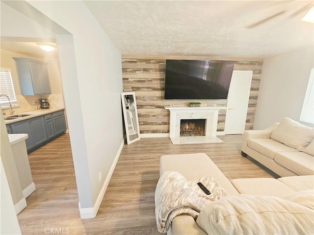 living area with light wood-style floors, baseboards, and a premium fireplace