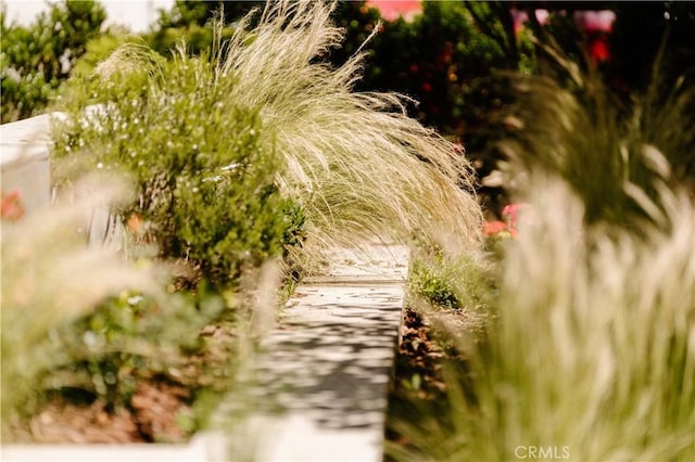 1873 S Los Robles Ave, San Marino, CA 91108 - view of community