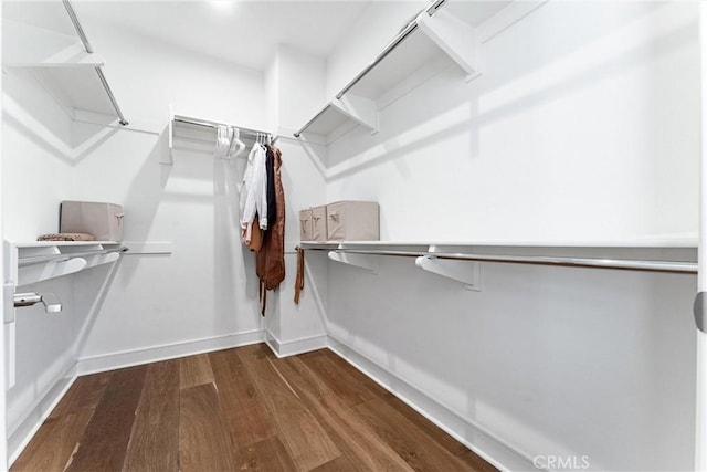 spacious closet featuring wood finished floors