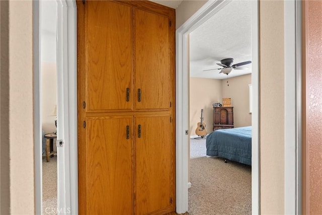 6176 Some Way, Magalia, CA 95954 - hall featuring carpet