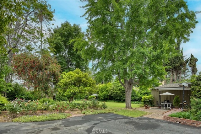 view of asphalt driveway with view of scattered trees