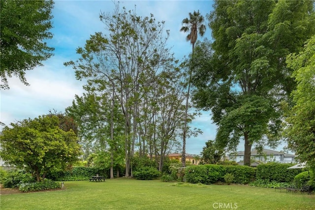 view of green lawn