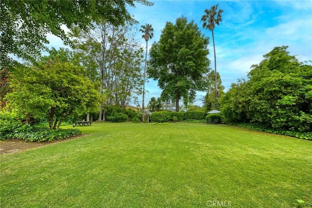 view of grassy yard