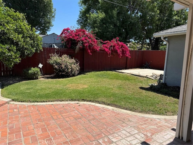 view of yard featuring a patio