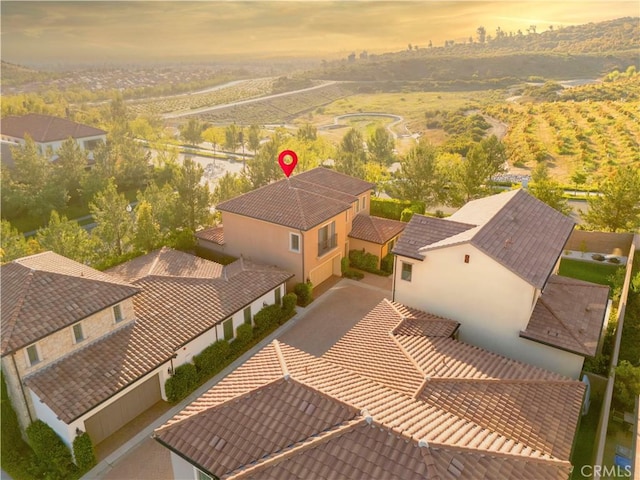 bird's eye view