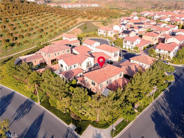 bird's eye view