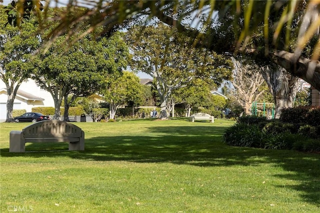 view of grassy yard