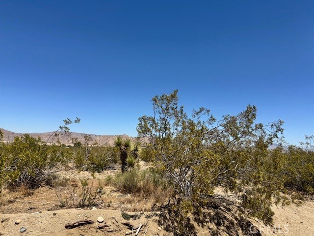 0 Miller Ranch Rd, Lucerne Valley, CA 92356 - photo 6
