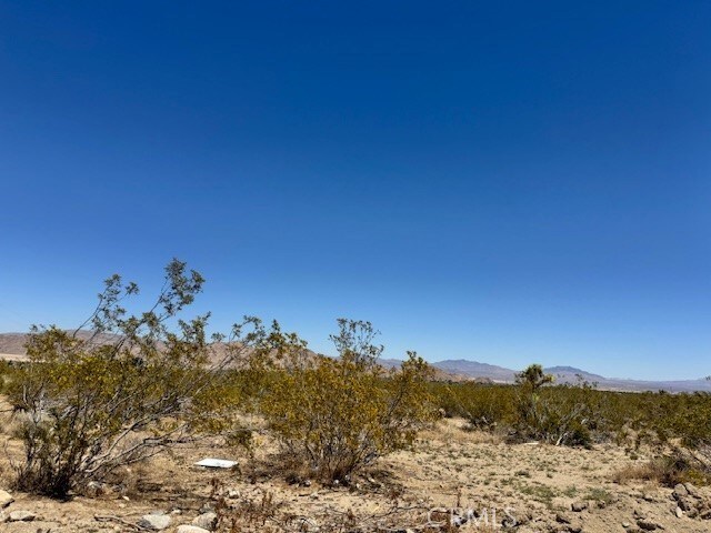 0 Miller Ranch Rd, Lucerne Valley, CA 92356 - photo 4