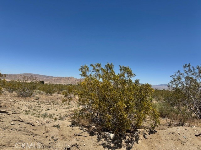 0 Miller Ranch Rd, Lucerne Valley, CA 92356 - photo 5