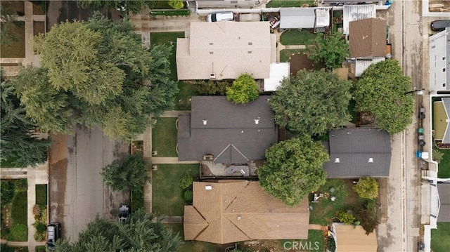 bird's eye view