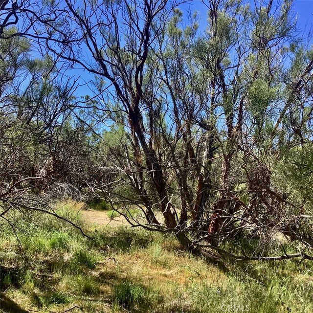 0 Pony Trl, Anza, CA 92539 - photo 13