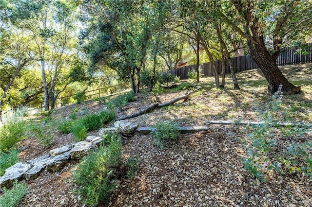 7900 San Clemente Ave, Atascadero, CA 93422 - view of fenced backyard