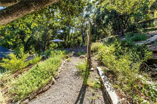 7900 San Clemente Ave, Atascadero, CA 93422 - view of yard