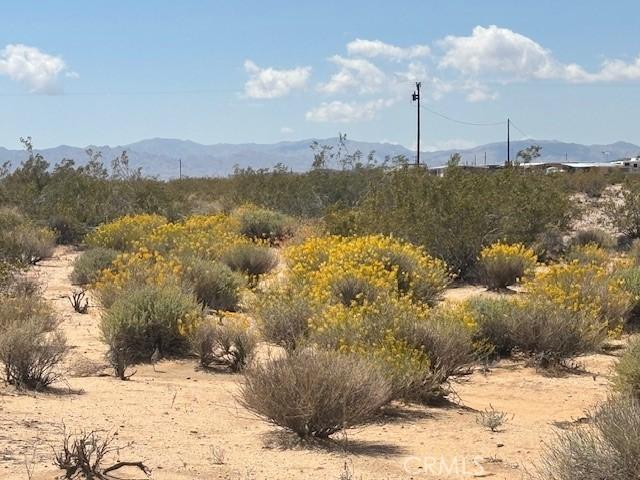 0 Daisy Ln, Joshua Tree, CA 92252