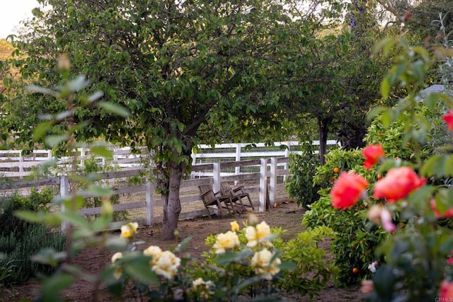 15017 Skyridge Rd, Poway, CA 92064 - photo 40