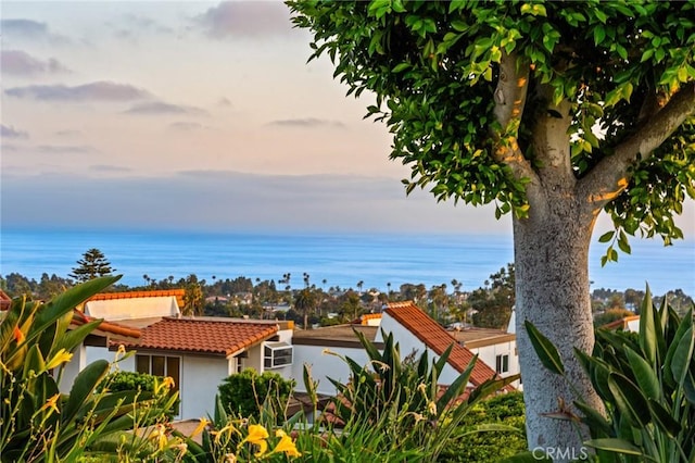 3736 Calle Casino, San Clemente, CA 92673 - photo 44