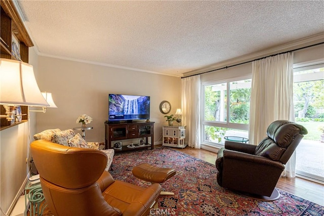 8435 Sale Ave, West Hills, CA 91304 - living room with a textured ceiling, ornamental molding, and wood finished floors